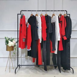 2019新款洋氣百搭女裝衛(wèi)衣 廠家直接批發(fā)，品牌折扣盡享